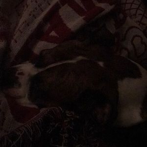 Meet your Posher, Nathan